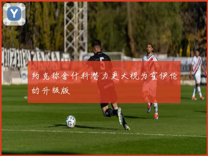 约克称舍什科潜力更大视为霍伊伦的升级版