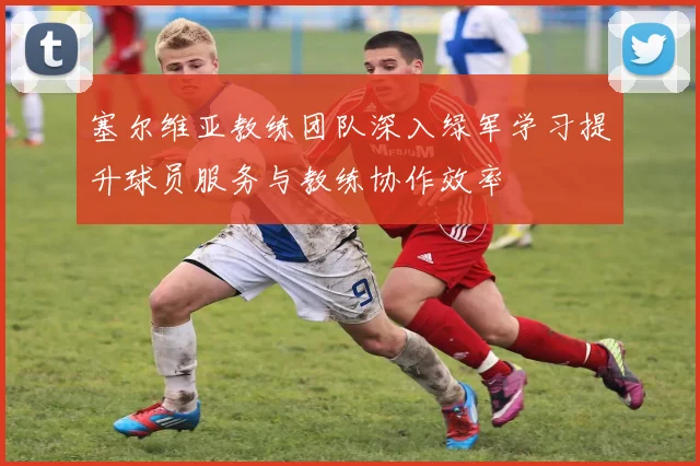 塞尔维亚教练团队深入绿军学习提升球员服务与教练协作效率