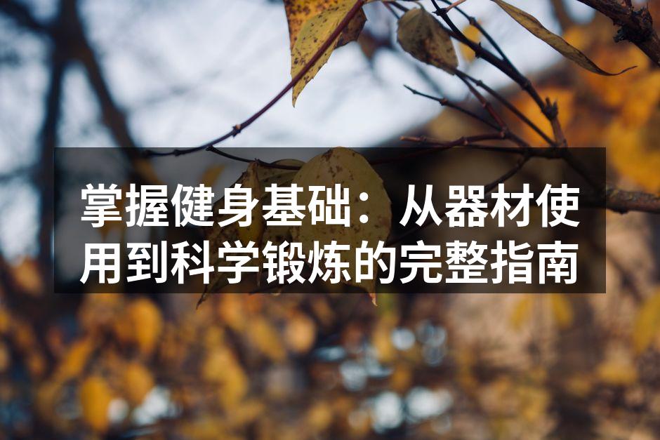 掌握健身基础：从器材使用到科学锻炼的完整指南
