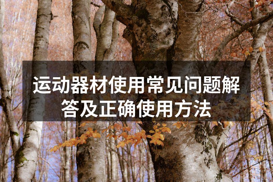 专业人士演示运动器材使用